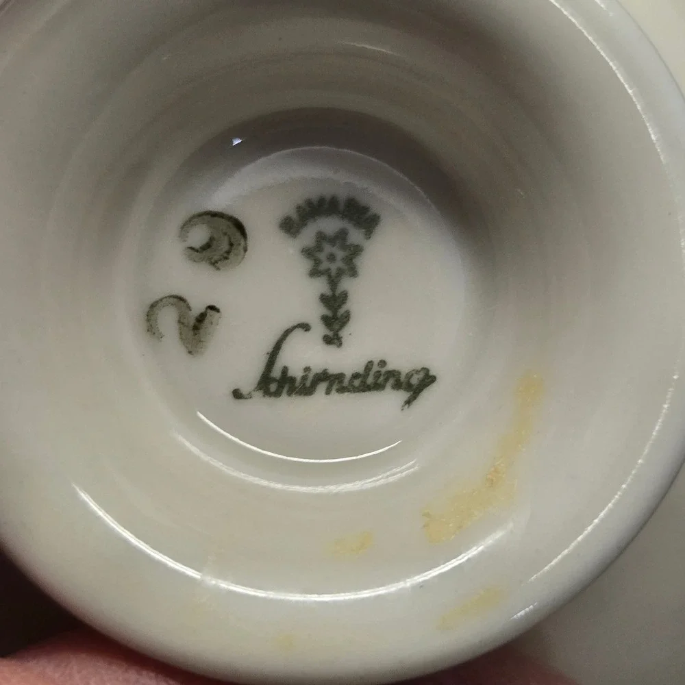 Schirnding Bavaria Porcelain Teacup Saucer Set Green Gold Floral Vintage Germany